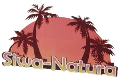 الصورة الرمزية
