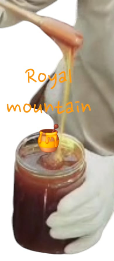 عسل نحل جبلي سدر ملكي